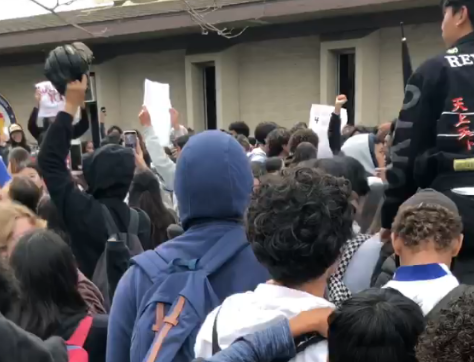 Walker Walkout: Students protest principals transfer