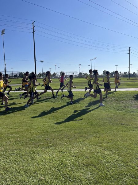 Bragging Rights, Team Bonding, Brutal Terrain: District XC Event Has it All