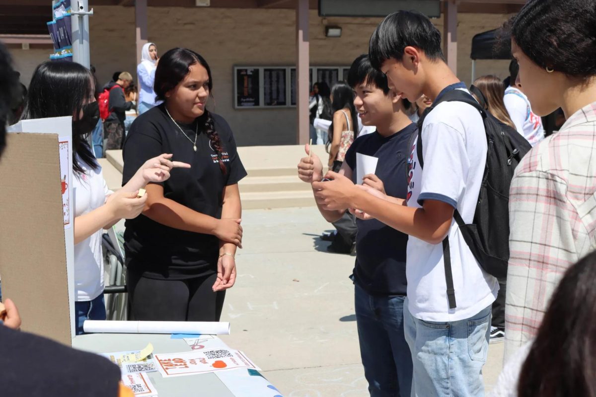 Take Lead Officers explain their club to curious Dons