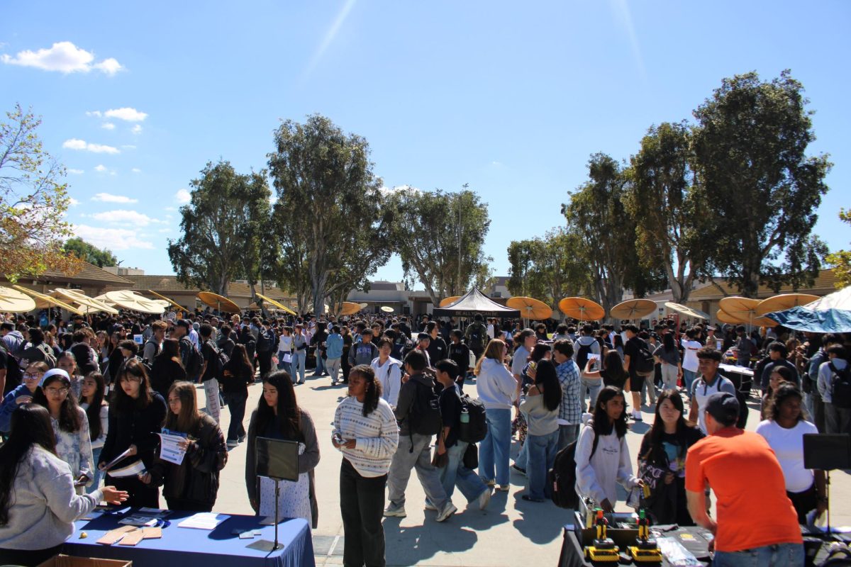 College and Career Fair Opens Opportunities to Programs and Pathways