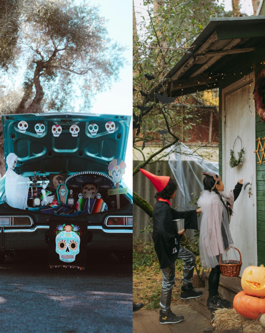 Photos Courtesy of Pexels