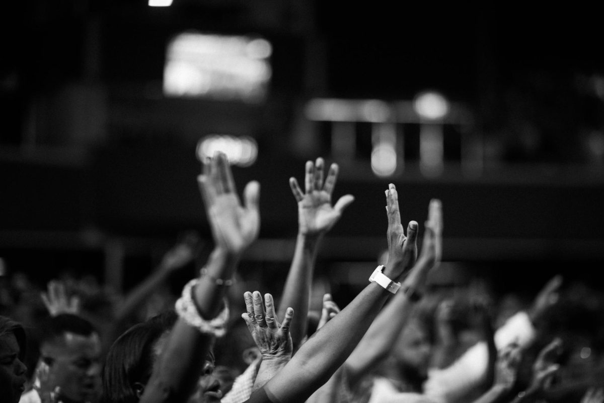 Photo courtesy of Pexels